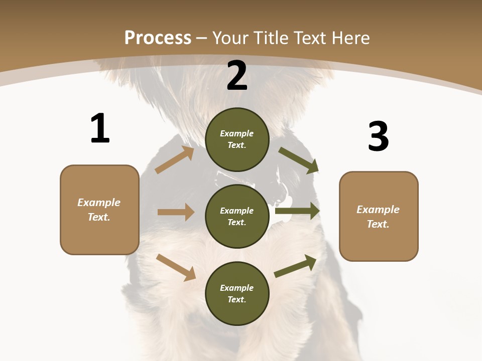 A Small Dog Sitting In Front Of A White Background PowerPoint Template