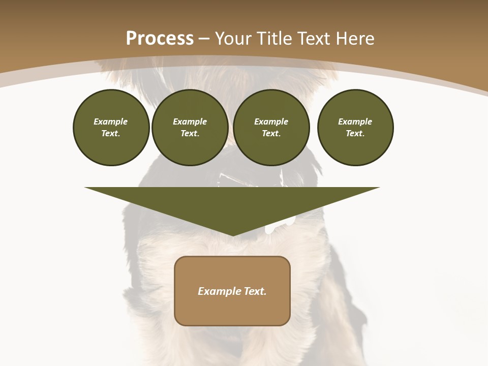 A Small Dog Sitting In Front Of A White Background PowerPoint Template