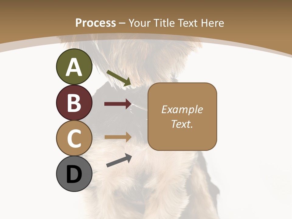 A Small Dog Sitting In Front Of A White Background PowerPoint Template