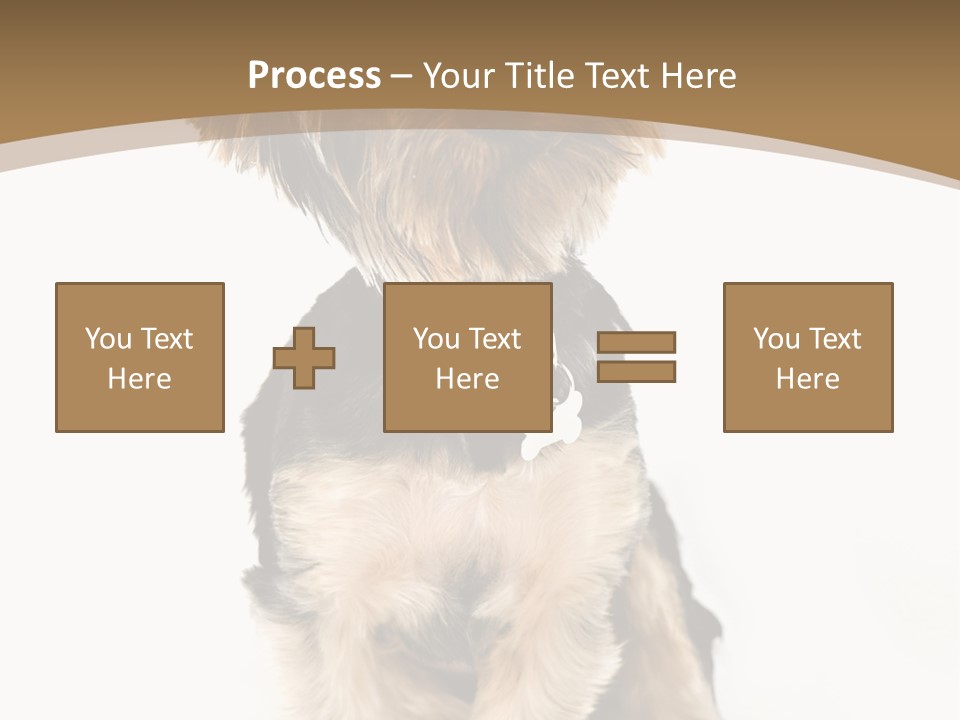 A Small Dog Sitting In Front Of A White Background PowerPoint Template