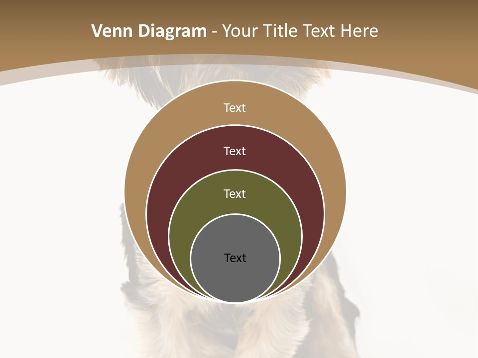 A Small Dog Sitting In Front Of A White Background PowerPoint Template