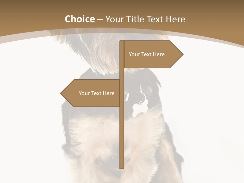 A Small Dog Sitting In Front Of A White Background PowerPoint Template