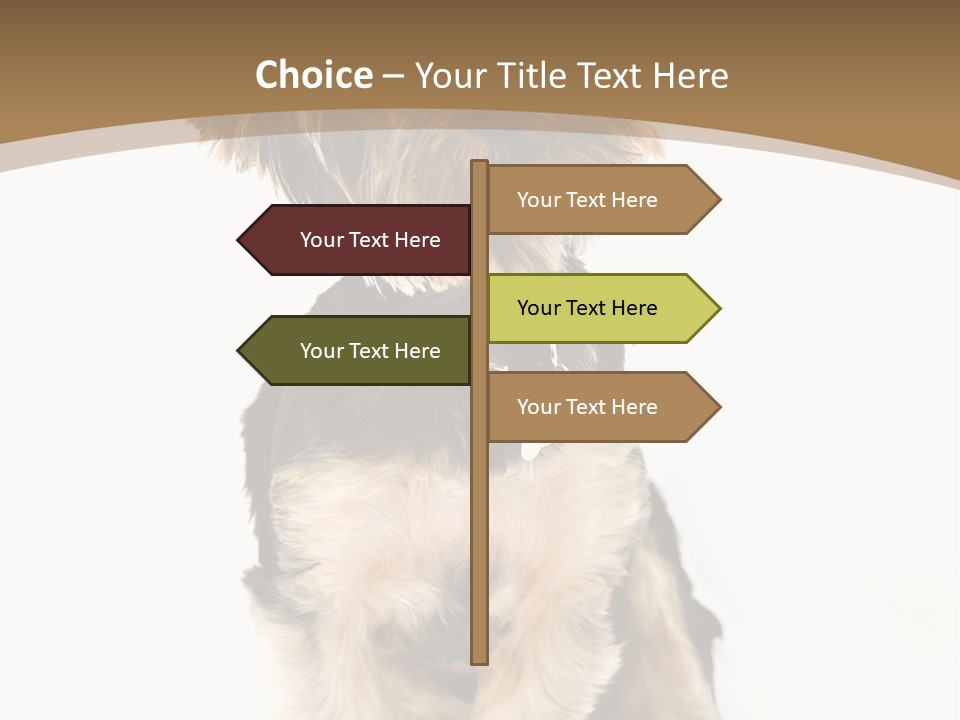 A Small Dog Sitting In Front Of A White Background PowerPoint Template