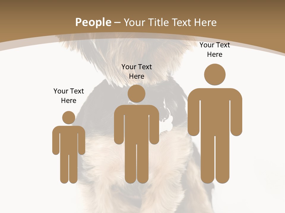 A Small Dog Sitting In Front Of A White Background PowerPoint Template