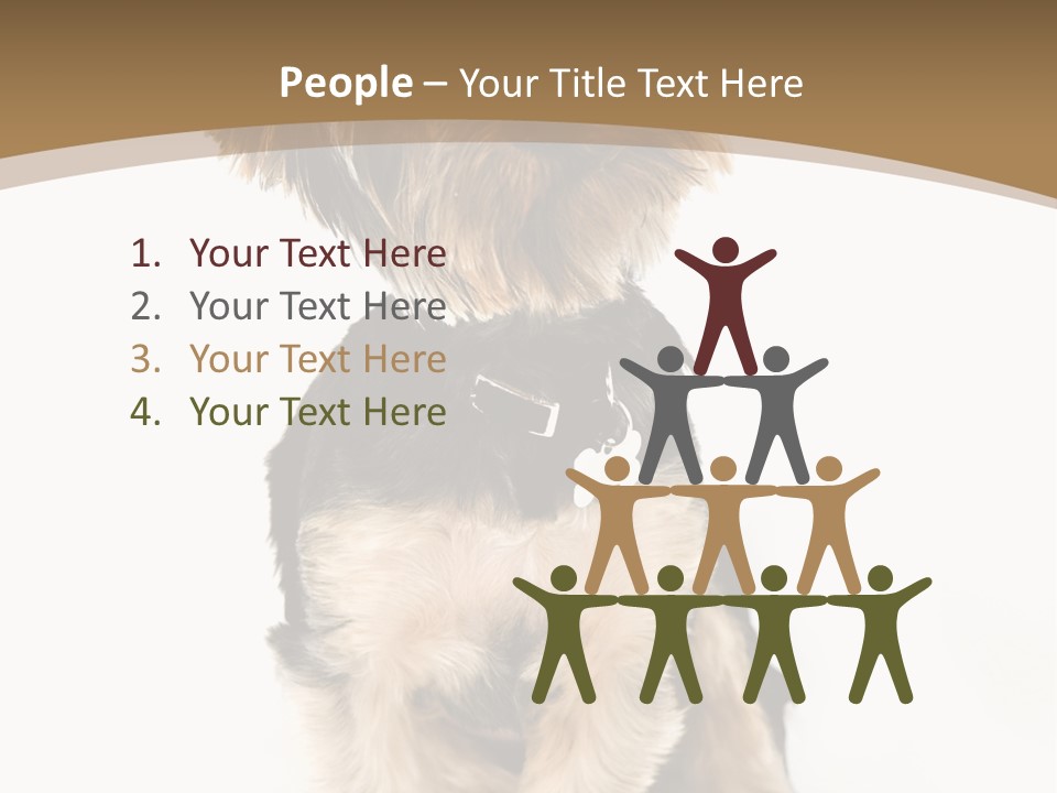 A Small Dog Sitting In Front Of A White Background PowerPoint Template