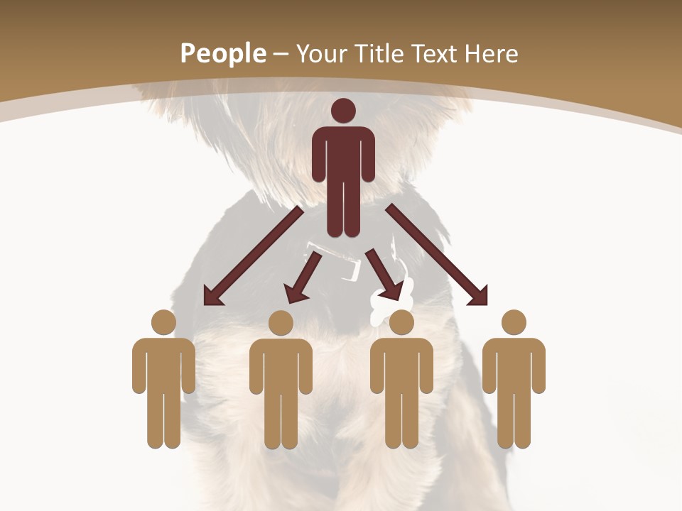 A Small Dog Sitting In Front Of A White Background PowerPoint Template