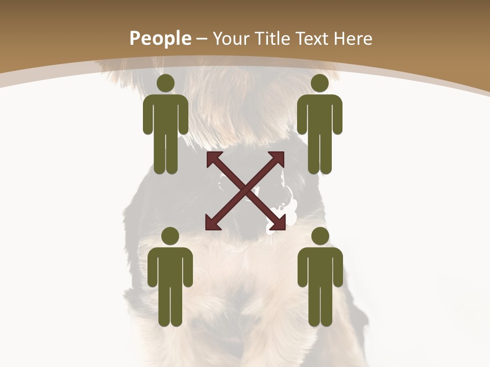 A Small Dog Sitting In Front Of A White Background PowerPoint Template