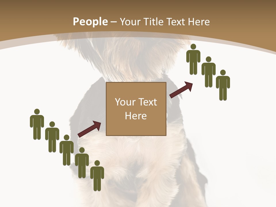 A Small Dog Sitting In Front Of A White Background PowerPoint Template