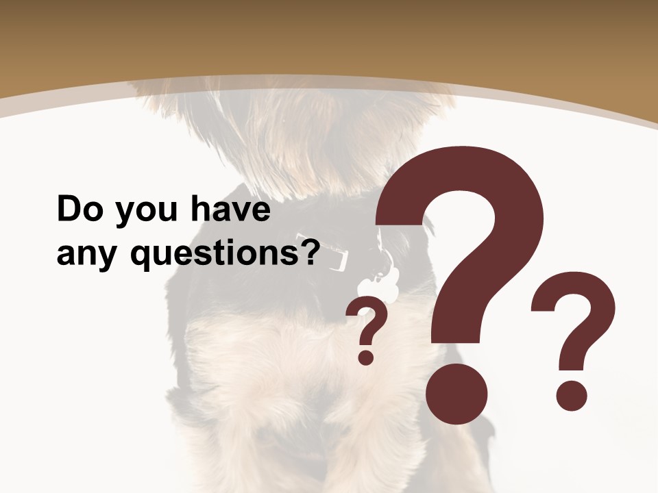 A Small Dog Sitting In Front Of A White Background PowerPoint Template