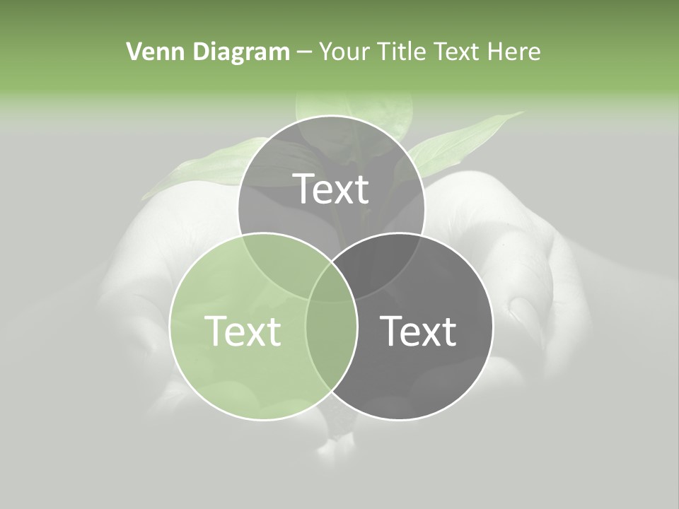 Learn Earth Move PowerPoint Template