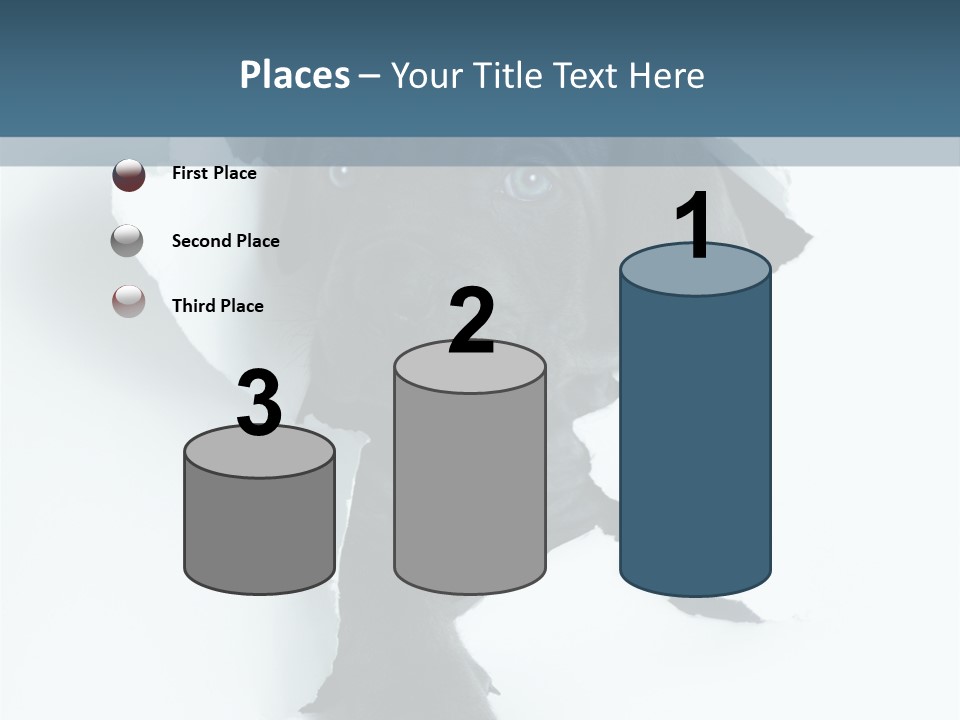 Fun Korsa Black PowerPoint Template