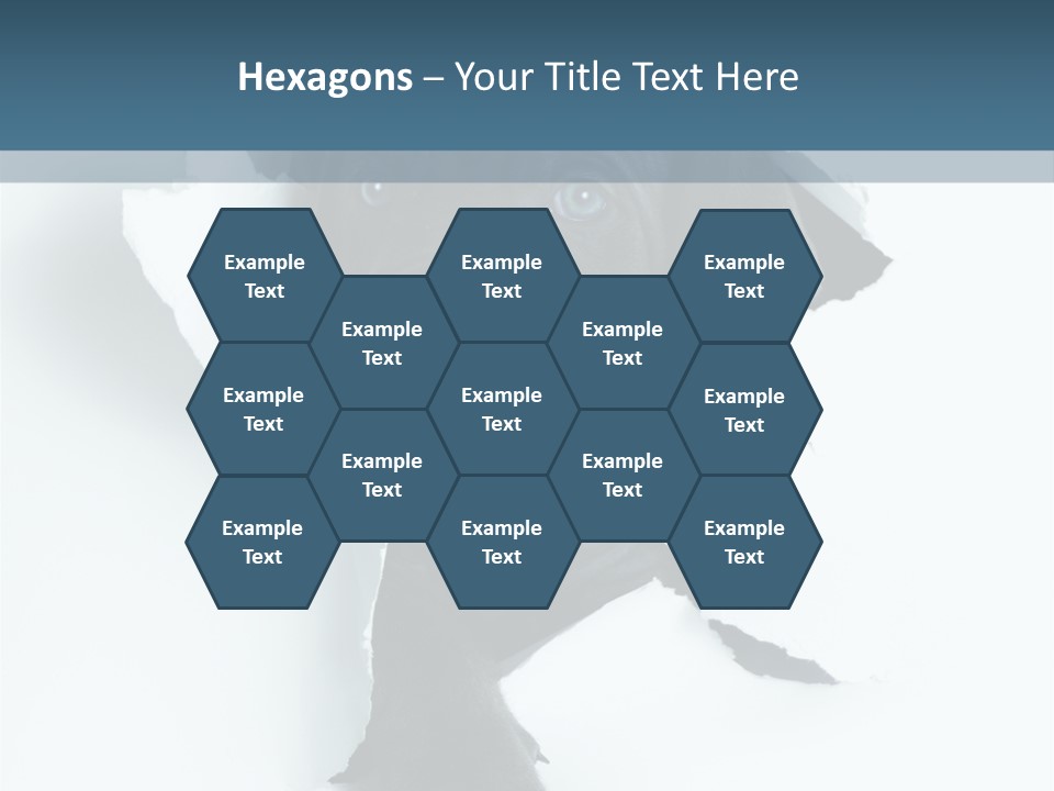 Fun Korsa Black PowerPoint Template