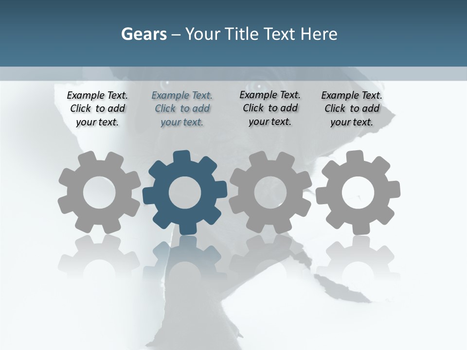 Fun Korsa Black PowerPoint Template