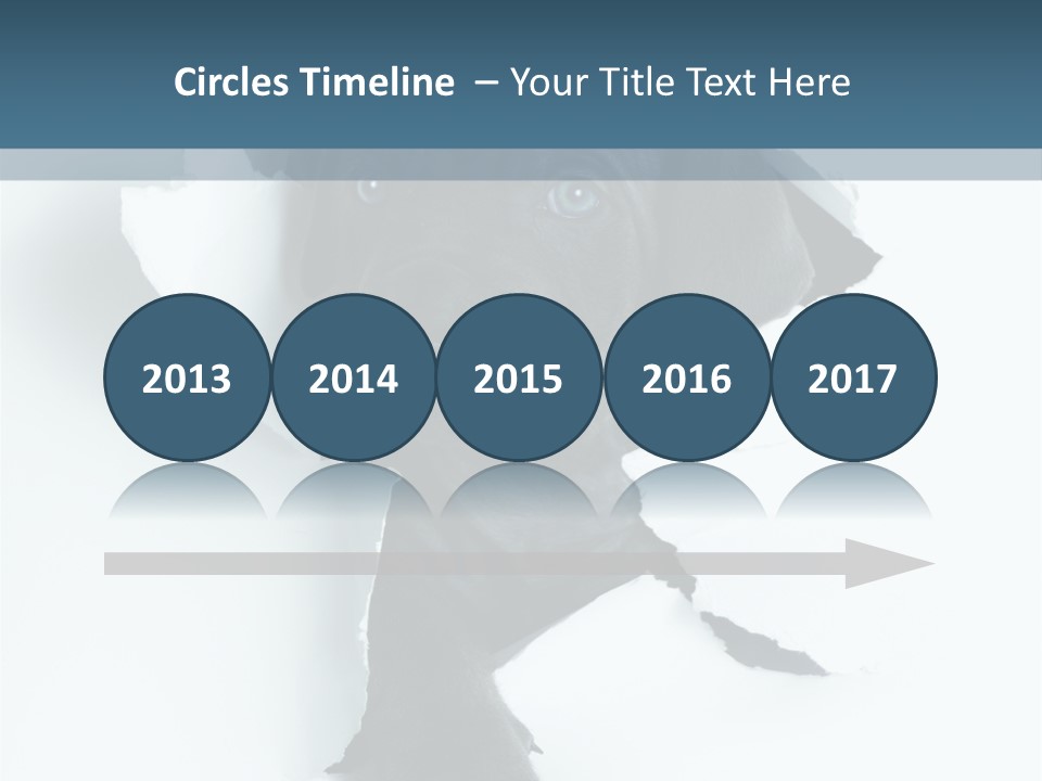 Fun Korsa Black PowerPoint Template