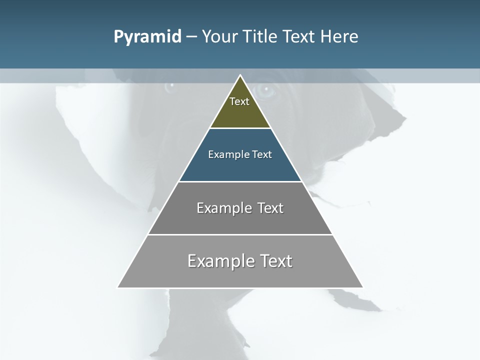 Fun Korsa Black PowerPoint Template