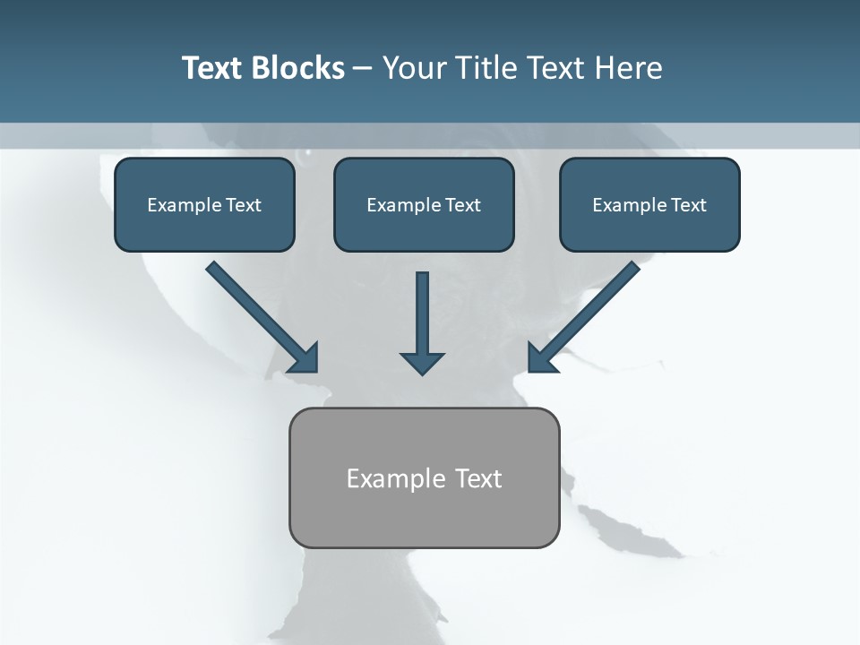 Fun Korsa Black PowerPoint Template