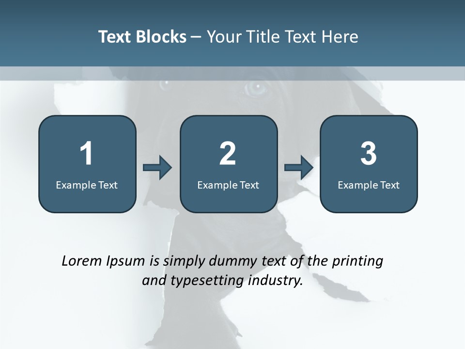 Fun Korsa Black PowerPoint Template
