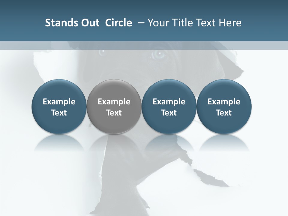 Fun Korsa Black PowerPoint Template