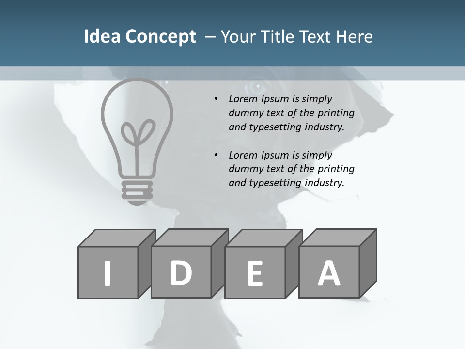 Fun Korsa Black PowerPoint Template