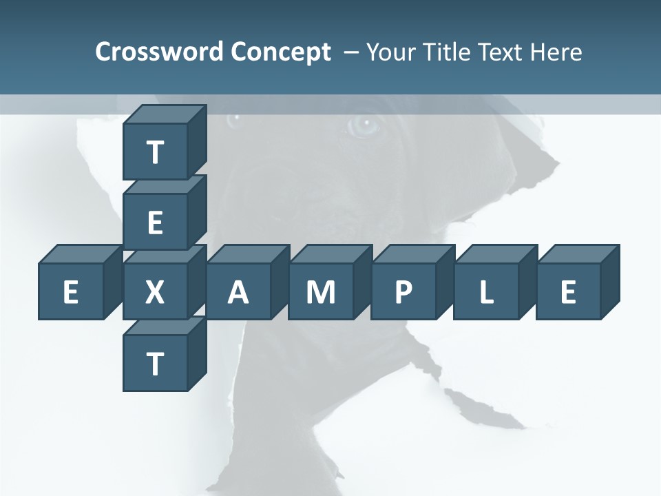 Fun Korsa Black PowerPoint Template