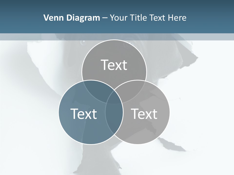 Fun Korsa Black PowerPoint Template