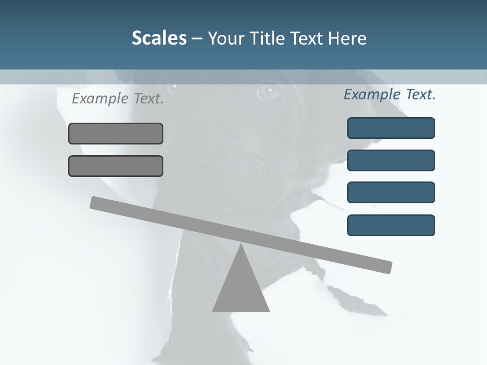 Fun Korsa Black PowerPoint Template