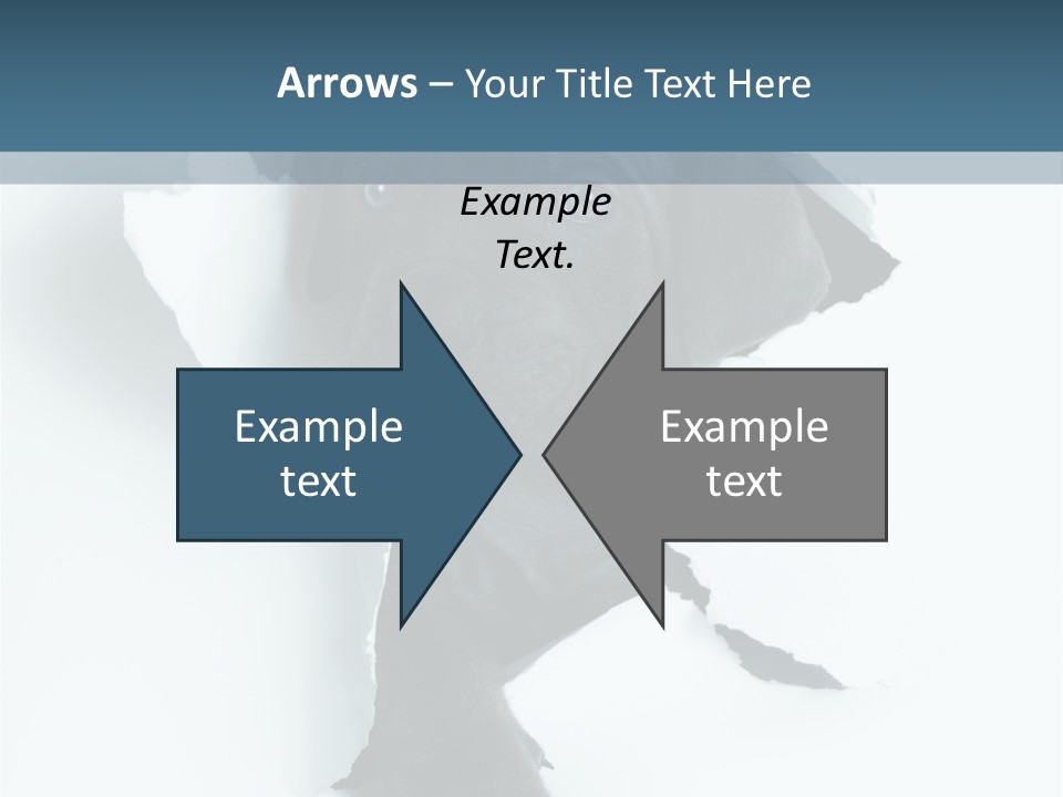 Fun Korsa Black PowerPoint Template