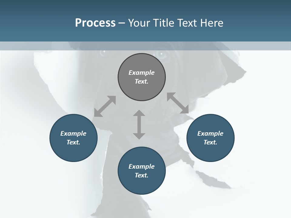 Fun Korsa Black PowerPoint Template