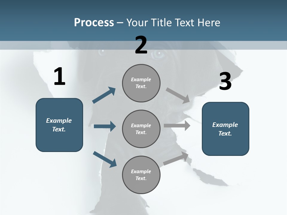 Fun Korsa Black PowerPoint Template