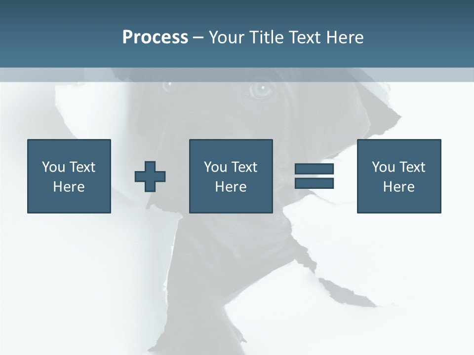Fun Korsa Black PowerPoint Template
