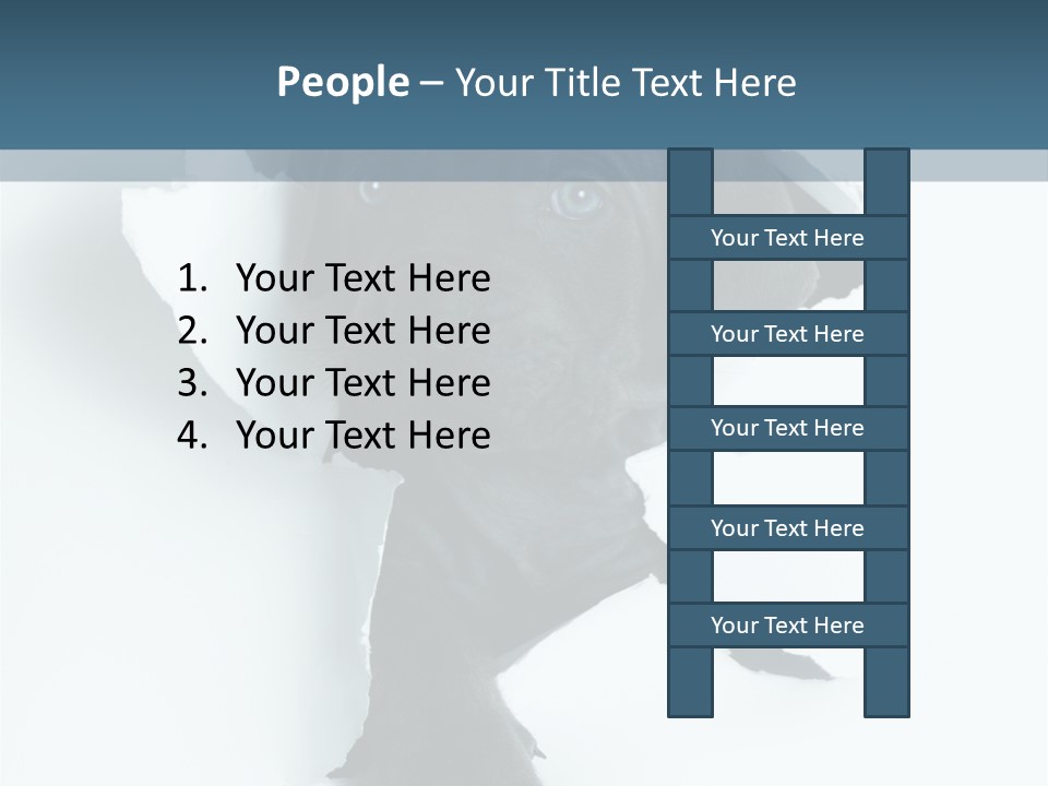 Fun Korsa Black PowerPoint Template