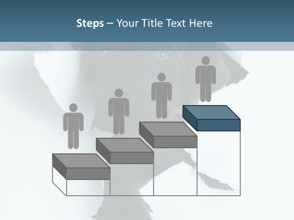 Fun Korsa Black PowerPoint Template