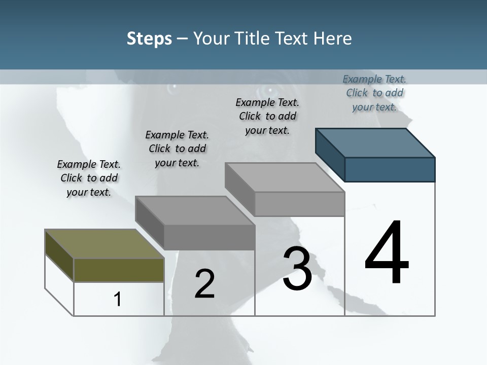 Fun Korsa Black PowerPoint Template