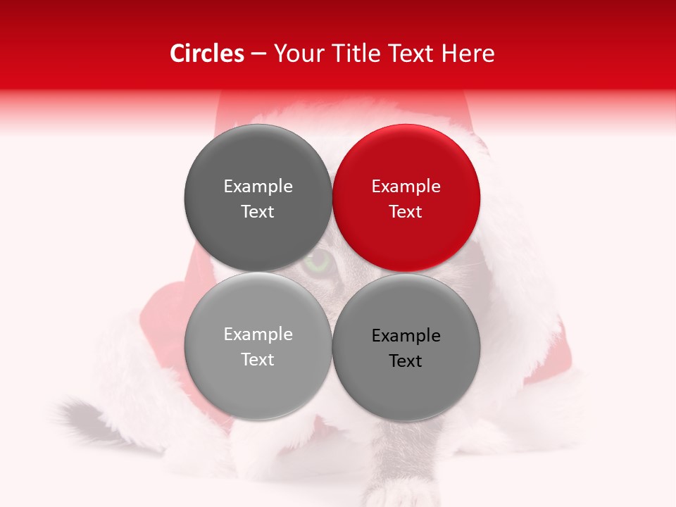 A Cat Wearing A Santa Hat With Green Eyes PowerPoint Template