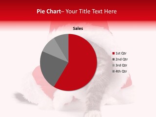 A Cat Wearing A Santa Hat With Green Eyes PowerPoint Template