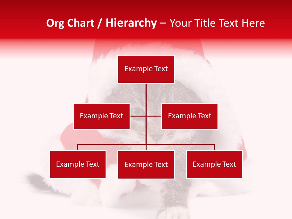 A Cat Wearing A Santa Hat With Green Eyes PowerPoint Template