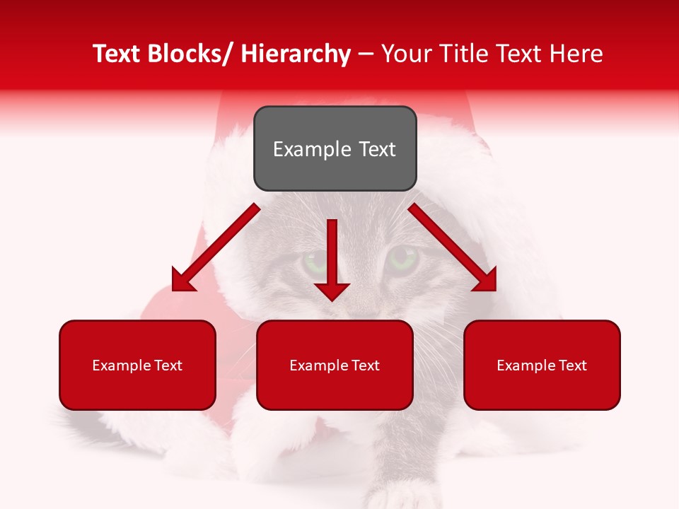 A Cat Wearing A Santa Hat With Green Eyes PowerPoint Template