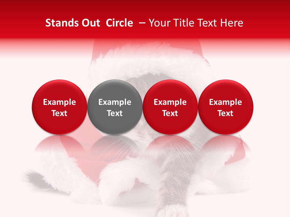 A Cat Wearing A Santa Hat With Green Eyes PowerPoint Template