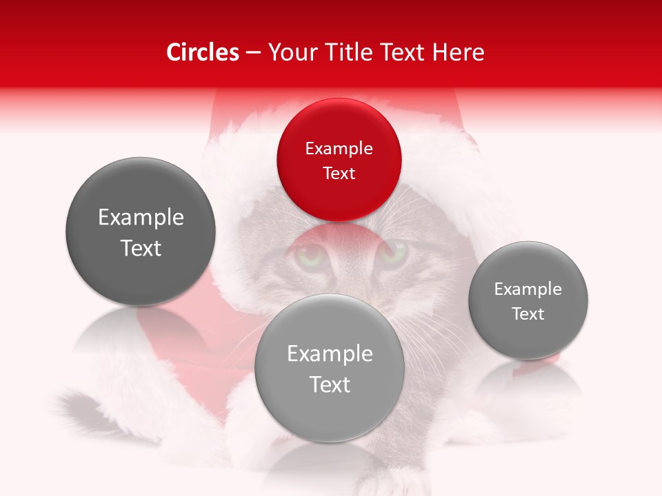 A Cat Wearing A Santa Hat With Green Eyes PowerPoint Template