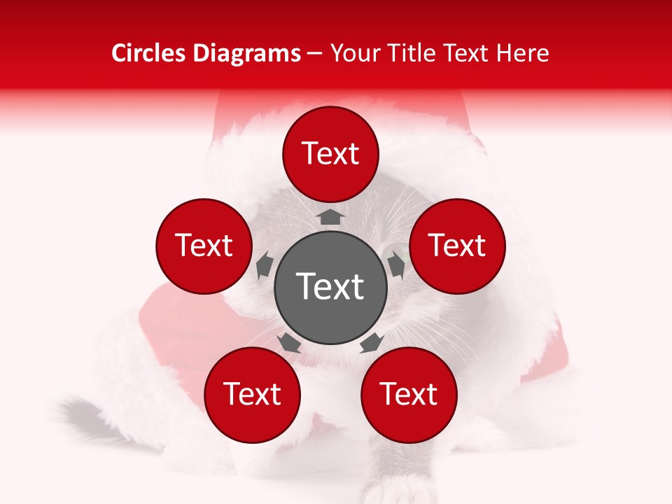 A Cat Wearing A Santa Hat With Green Eyes PowerPoint Template