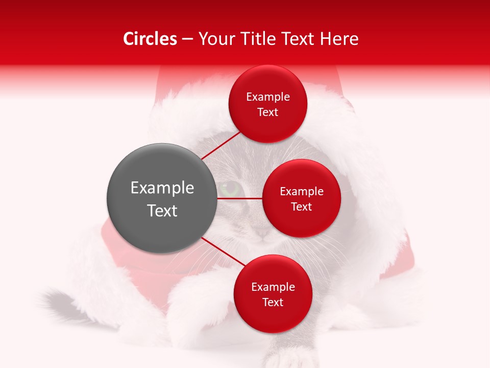 A Cat Wearing A Santa Hat With Green Eyes PowerPoint Template