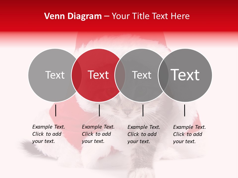 A Cat Wearing A Santa Hat With Green Eyes PowerPoint Template