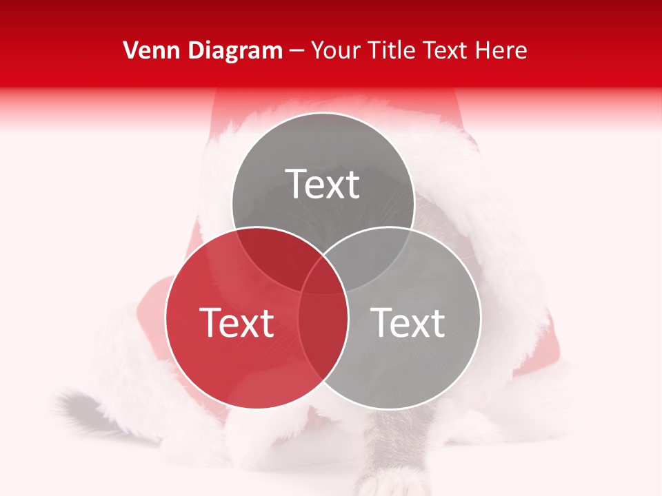 A Cat Wearing A Santa Hat With Green Eyes PowerPoint Template