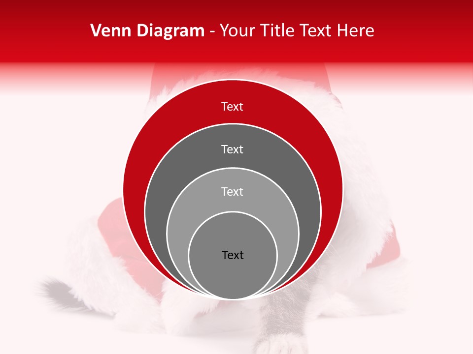 A Cat Wearing A Santa Hat With Green Eyes PowerPoint Template