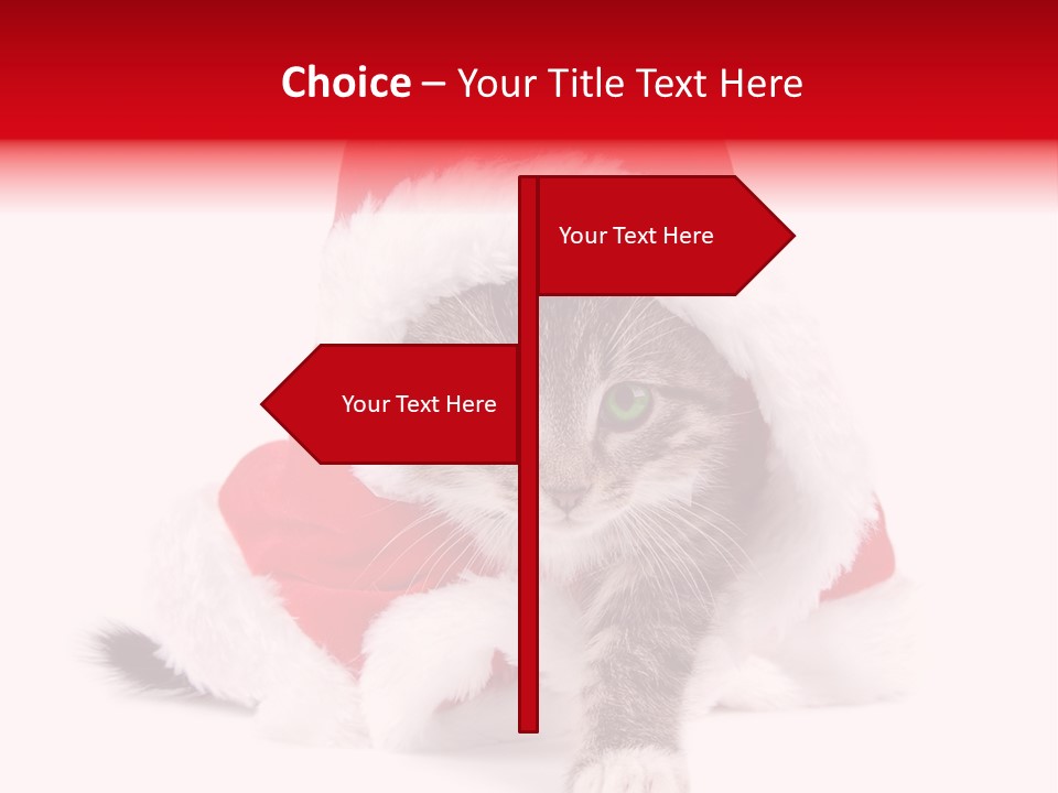 A Cat Wearing A Santa Hat With Green Eyes PowerPoint Template