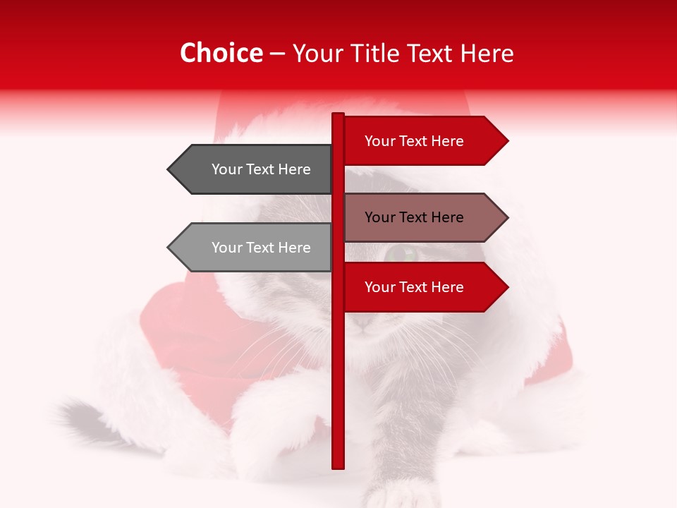 A Cat Wearing A Santa Hat With Green Eyes PowerPoint Template