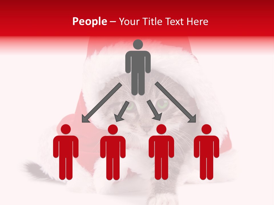 A Cat Wearing A Santa Hat With Green Eyes PowerPoint Template