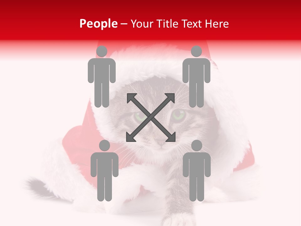 A Cat Wearing A Santa Hat With Green Eyes PowerPoint Template
