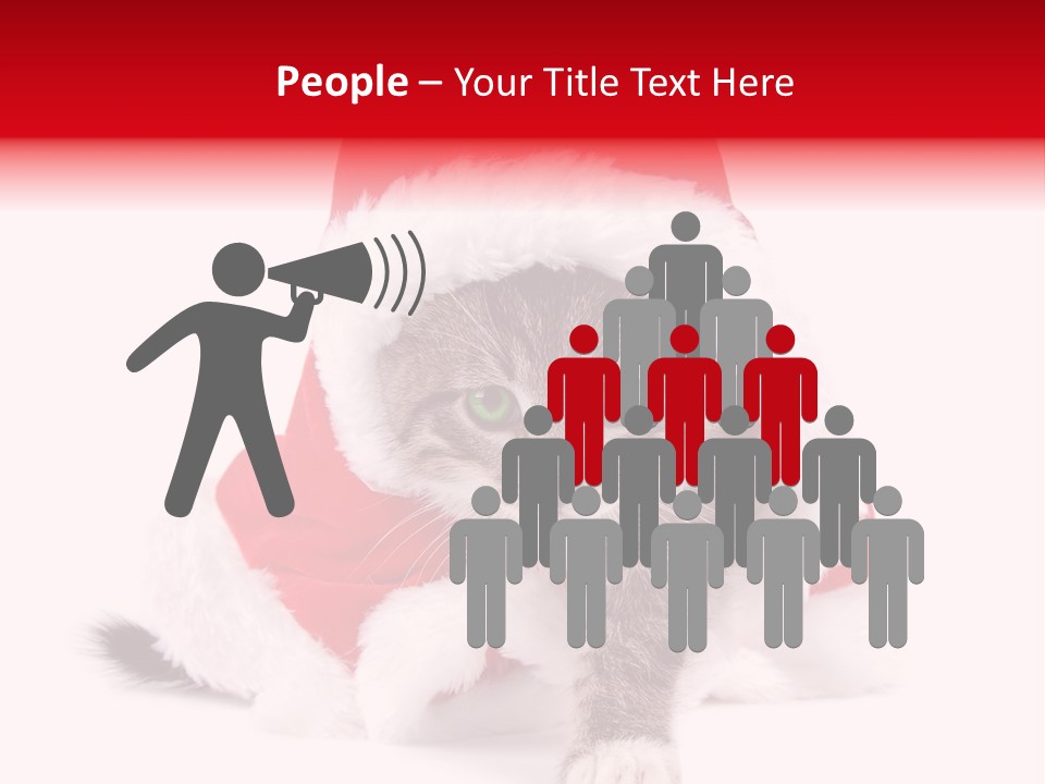 A Cat Wearing A Santa Hat With Green Eyes PowerPoint Template