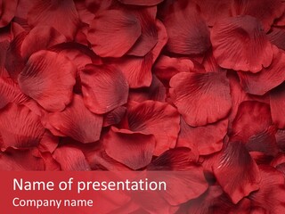 Rose Flower Celebrate PowerPoint Template